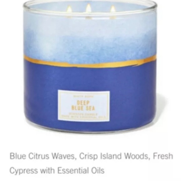 RARE BBW Deep Blue Sea Candle - Picture 2 of 4